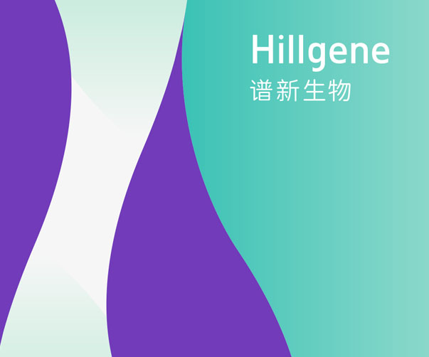 律所VI設計：塑造專業(yè)形象，提升競爭力